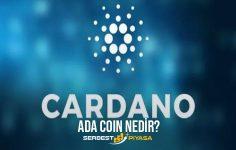 Cardano Coin Nedir? (2021)