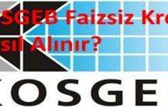 KOSGEB Faizsiz Kredi Nasıl Alınır?