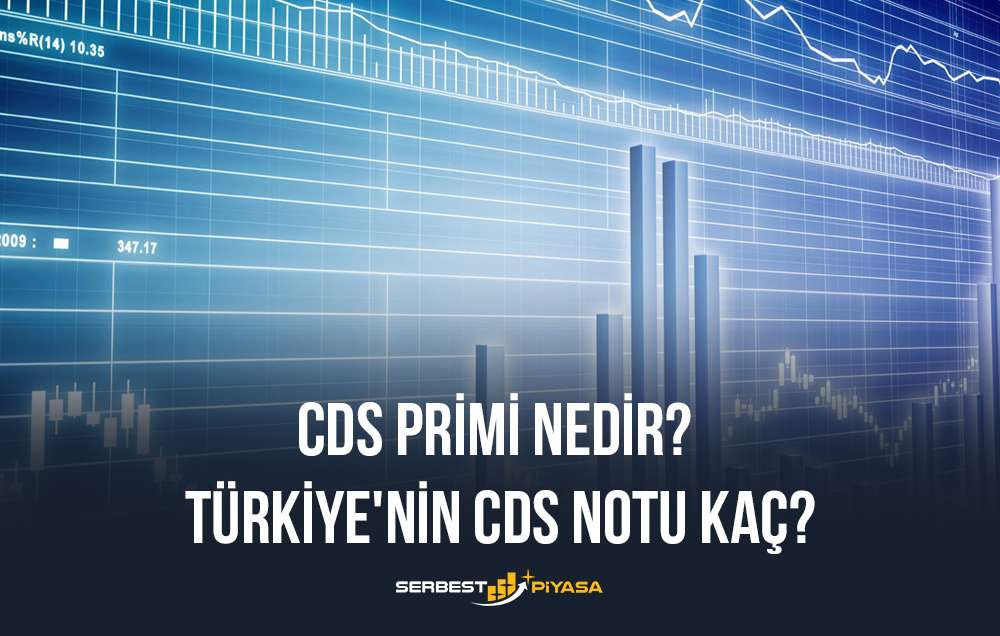 cds primi nedir