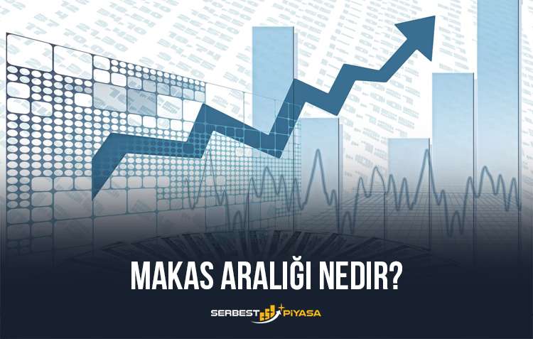 Makas Araligi Nedir Makas Araligi En Dusuk Bankalar Serbest Piyasa