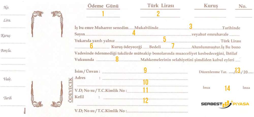 senet nasıl doldurulur