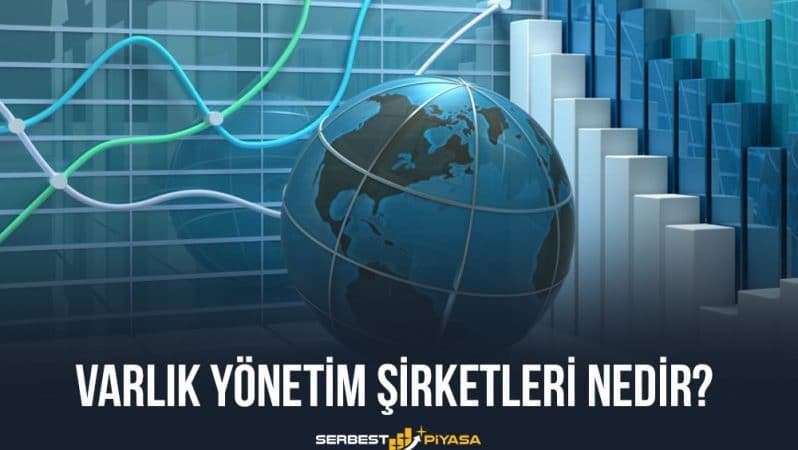 Varlık Yönetim Şirketleri Nedir?