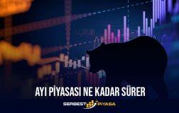AYI PİYASASI NEDİR? NE KADAR SÜRER? (2023)