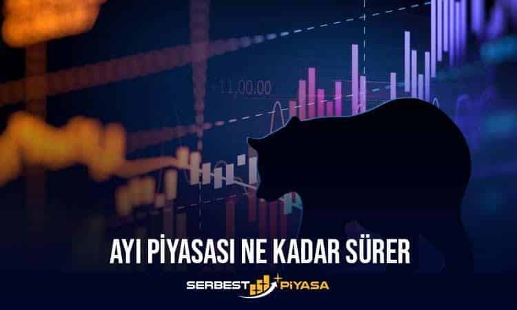 AYI PİYASASI NEDİR? NE KADAR SÜRER? (2023)