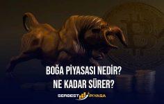 Boğa Piyasası Nedir? Ne Kadar Sürer? (2023)