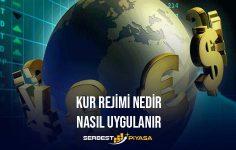 Kaç Çeşit Kur Rejimi Vardır? Dalgalı kur rejimi (2023)