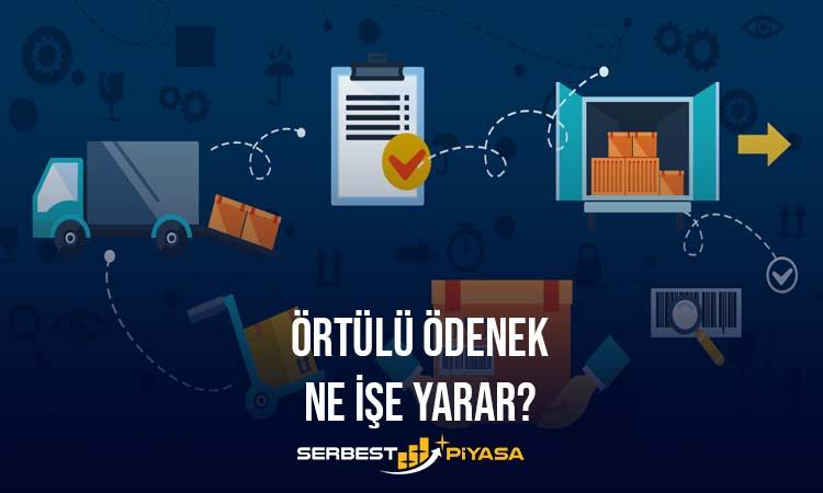 ÖRTÜLÜ ÖDENEK NE İŞE YARAR? TÜRKİYEDE ÖRTÜLÜ ÖDENEK (2023)