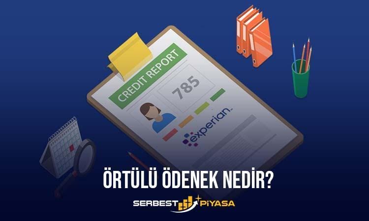 örtülü ödenek nedir