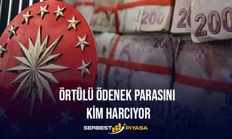 örtülü ödenek parasını kim harcıyor