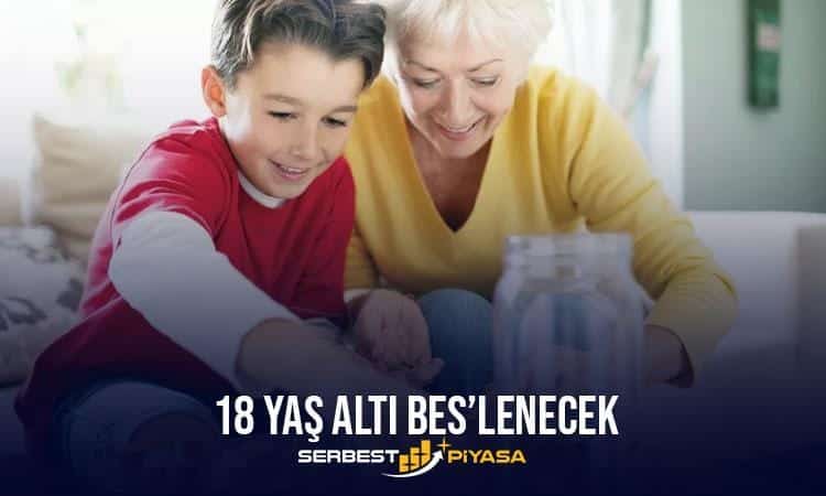 BİREYSEL EMEKLİLİK SİSTEMİ (BES) NEDİR? (2023)