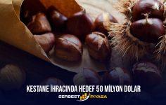 Kestane İhracatında Hedef 50 Milyon Dolar