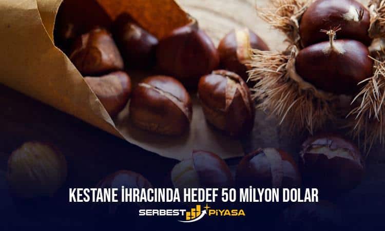 Kestane İhracatında Hedef 50 Milyon Dolar