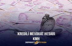 Kredili Mevduat Hesabı (KMH) (2022)