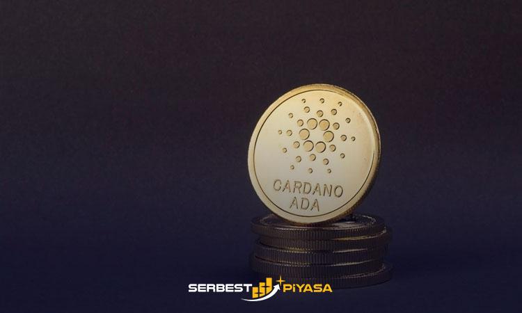 Cardano Coin Nedir? 1 Cardano Coin Nedir?