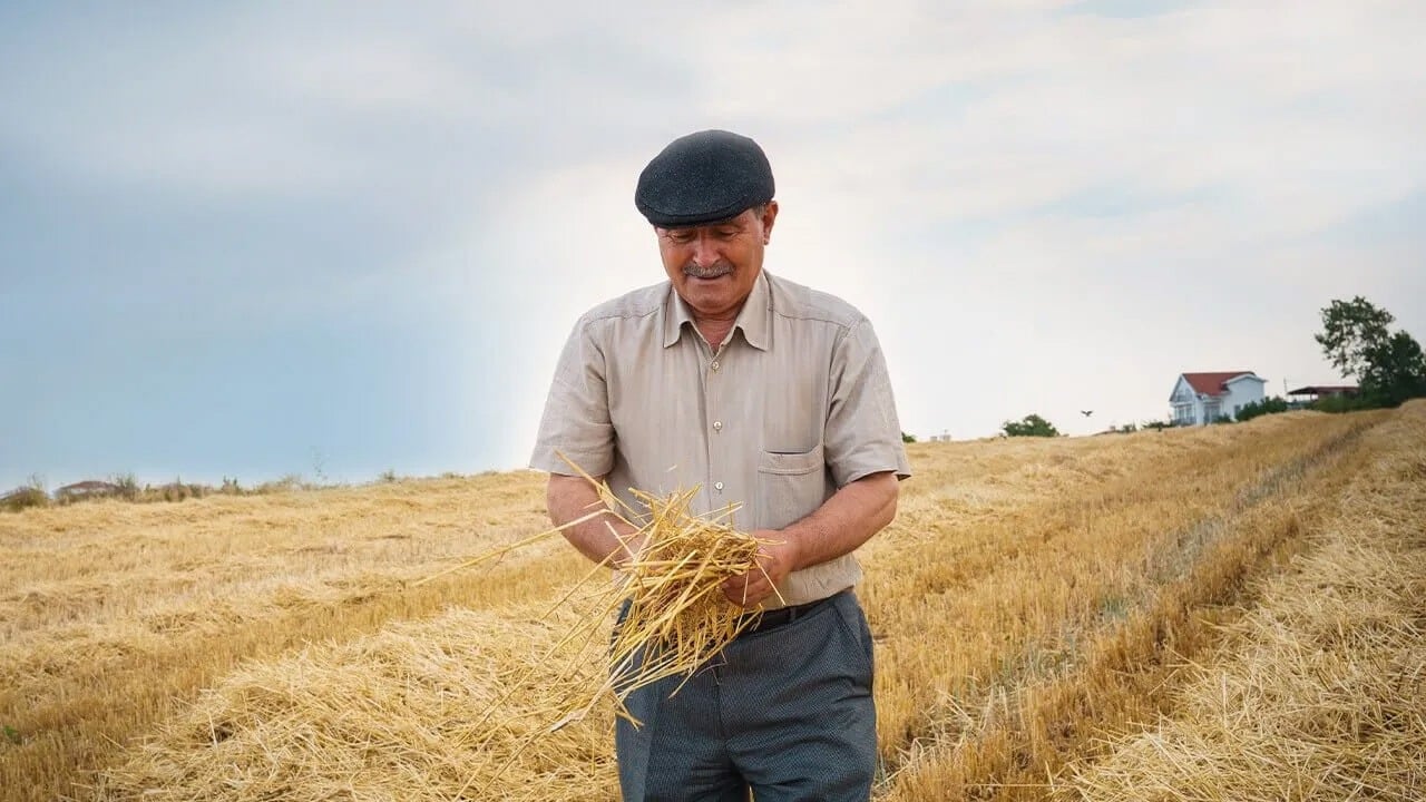 Çiftçilik Belgesi Nedir ve Nasıl Alınır